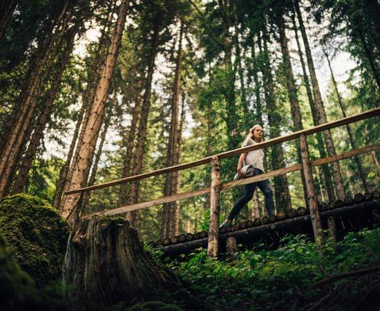 Torghele's Wald + Fluh - Wald Wellness im Hotel im Allgäu